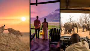 &Beyond and GPI Translation Services