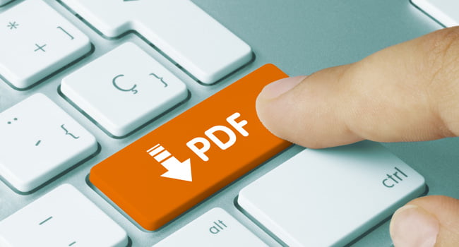 Importance of Accessible PDF Document