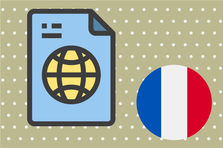 French Document Translation