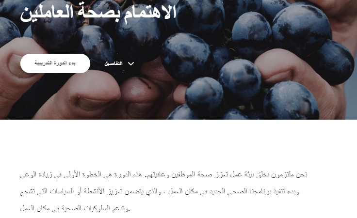 articulate rise articulate rise