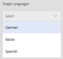 Adobe Experience Manager Translation