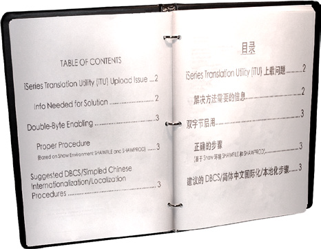 software internationalization software internationalization